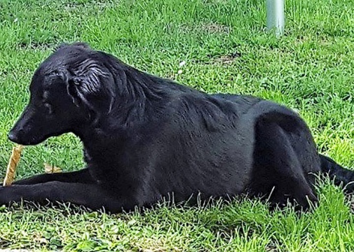 happy_1469652814Sally2.jpg