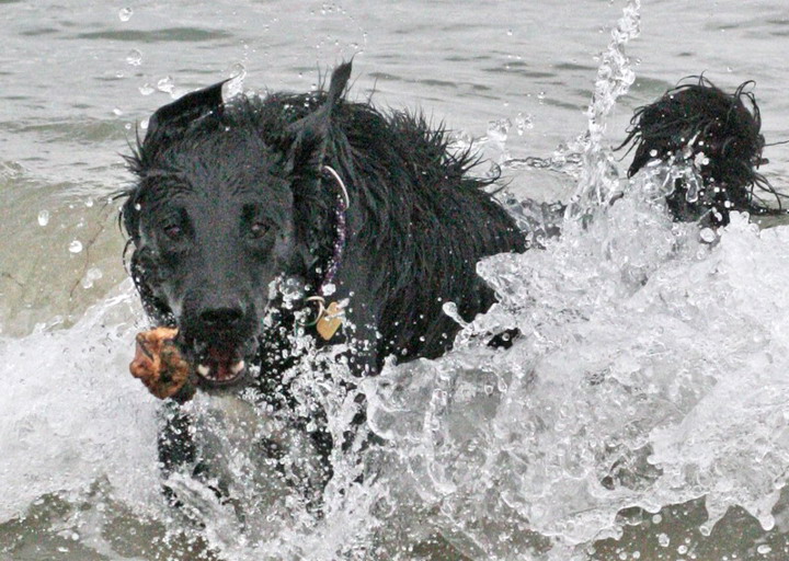 happy_1468870188Foto_3.jpg