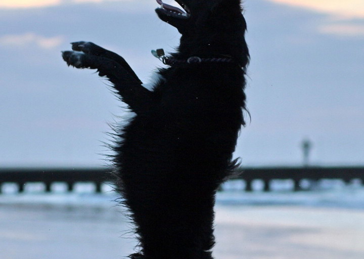 happy_1468870188Foto_5.jpg