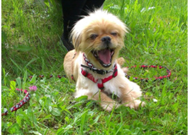 happy_14681845241.jpg