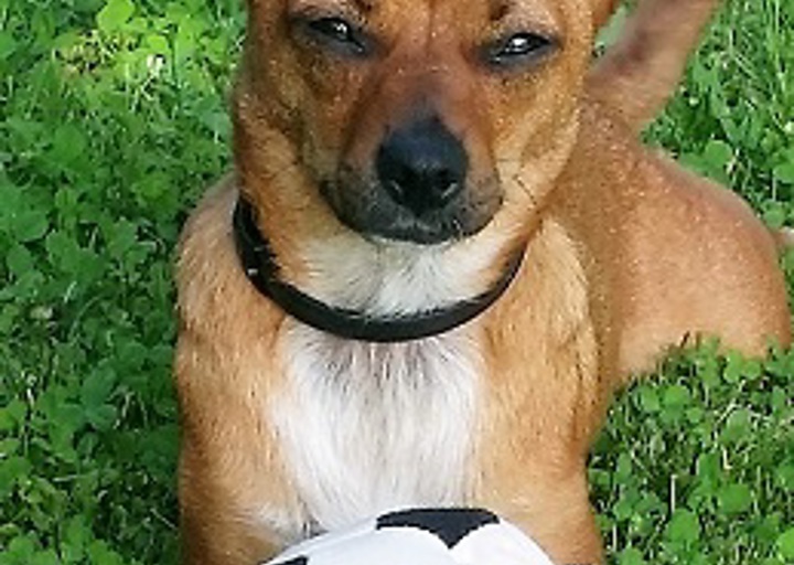 happy_1467198052Minni5.jpg