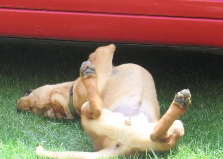happy_1466454425Foto_5.jpg