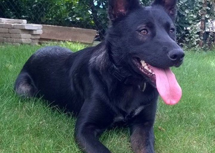 happy_1466155348Jack.jpg