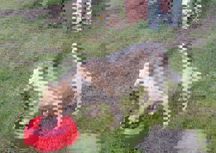 happy_146278769513010600_1000066306714788_7828735369711409985_n.jpg