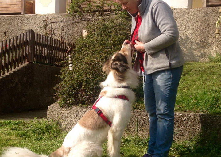 happy_1462295520Foto_4.jpg