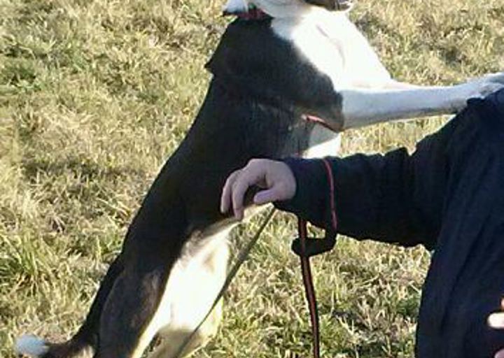 happy_1461615321Foto_4.jpg