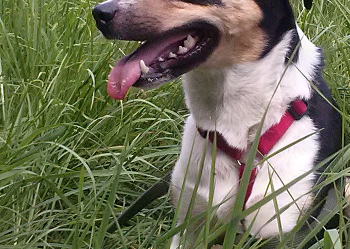 happy_1461615321Foto_5.jpg