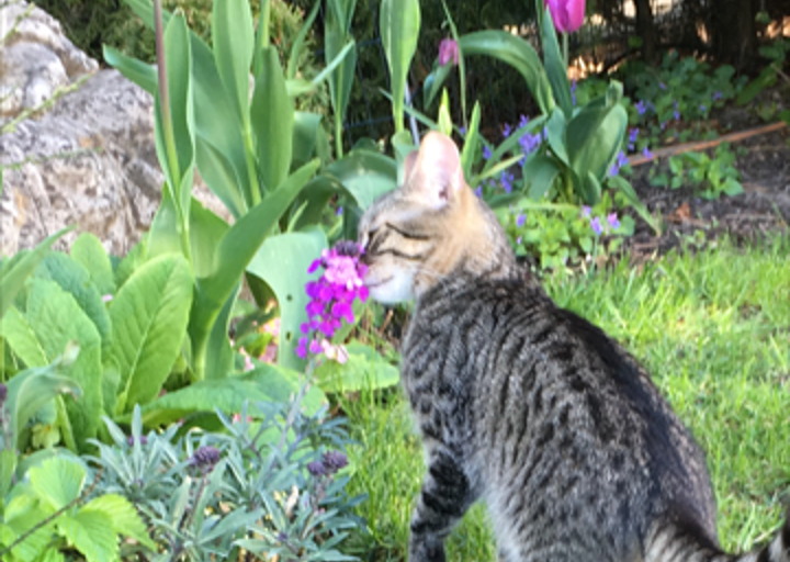 happy_1461615489Foto_2.PNG