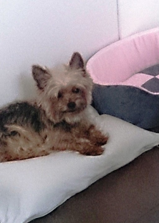 happy_1461616043Foto_2.JPG