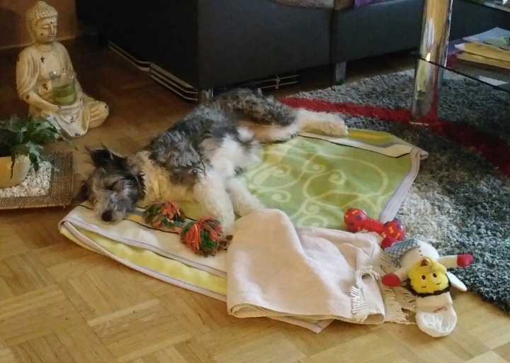 happy_14605714653.jpg