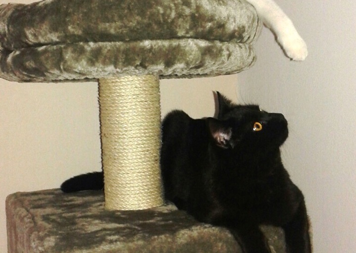 happy_1457948508Foto_3.jpg