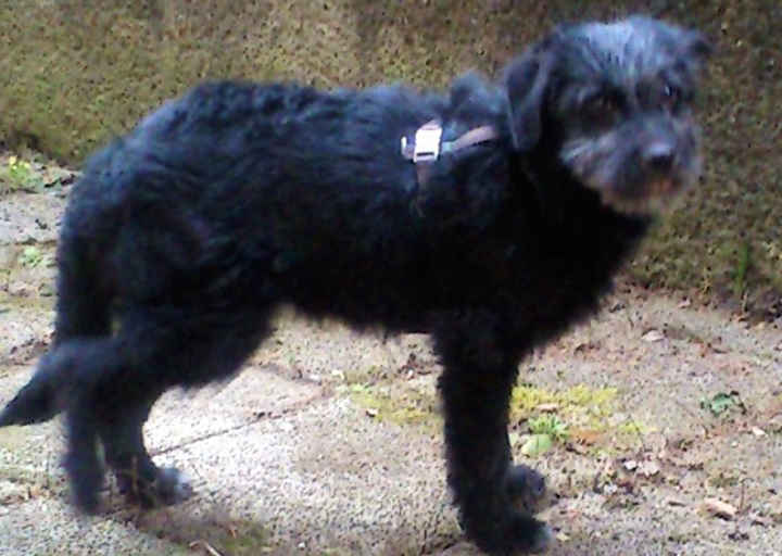 happy_1456426050Ronny1.jpg