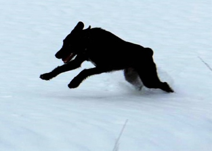 happy_1455568986Orion5.jpg