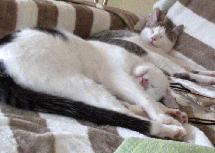 happy_1456520469Foto_2.jpg