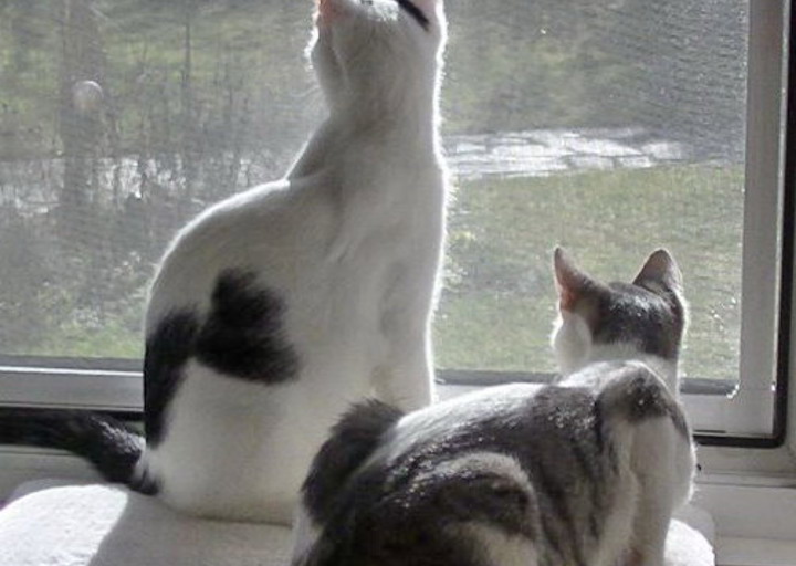 happy_1456520469Foto_3.jpg