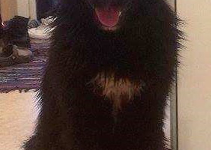 happy_1454955284Mala2.jpg