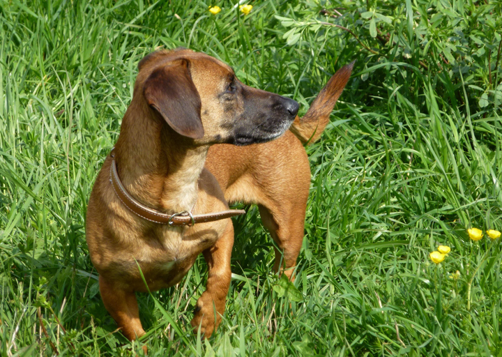 happy_14533202082015_Fotos Manuel-4.jpg