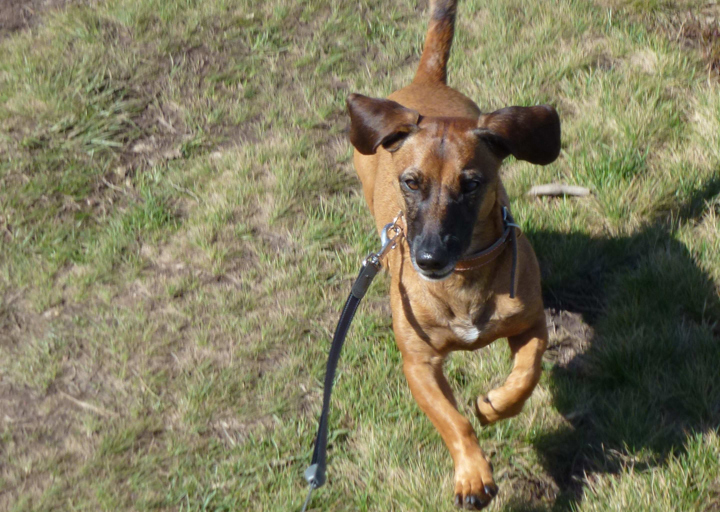 happy_14533202082015_Fotos Manuel-5.jpg