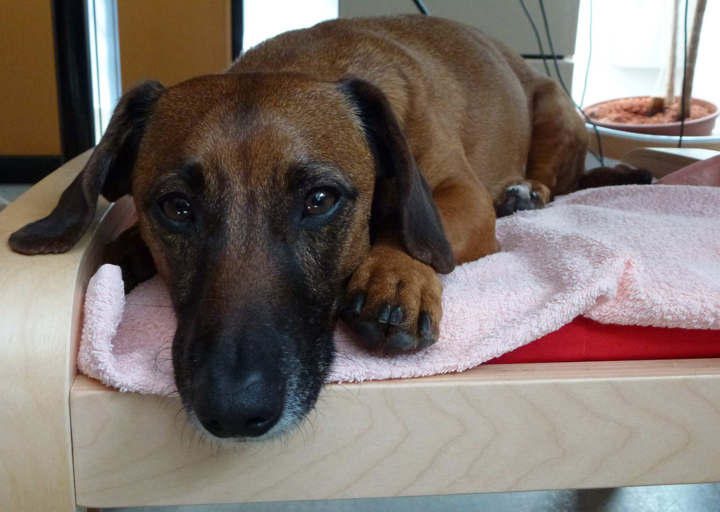 happy_14533202082015_Fotos Manuel-10.jpg