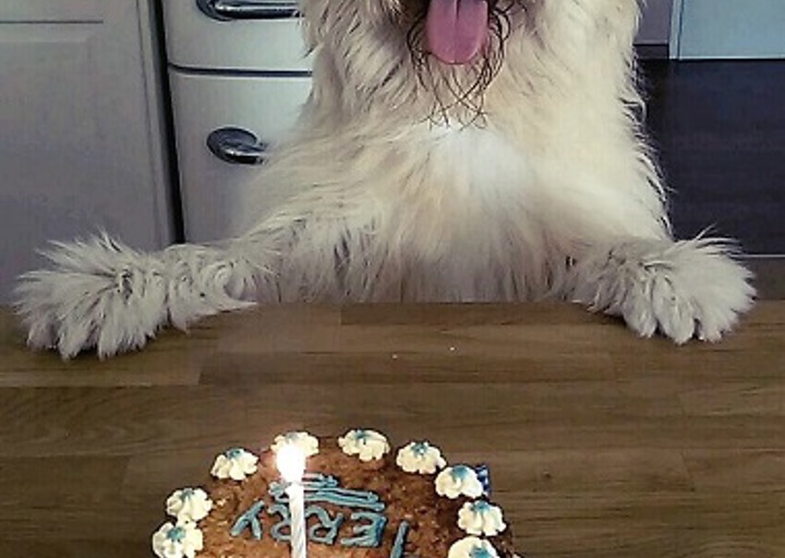 happy_1452192242Terence1.jpg