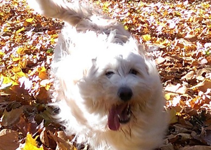 happy_1452192242Terence5.jpg