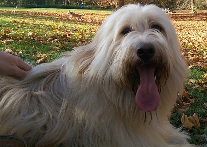 happy_1452192242Terence2.jpg