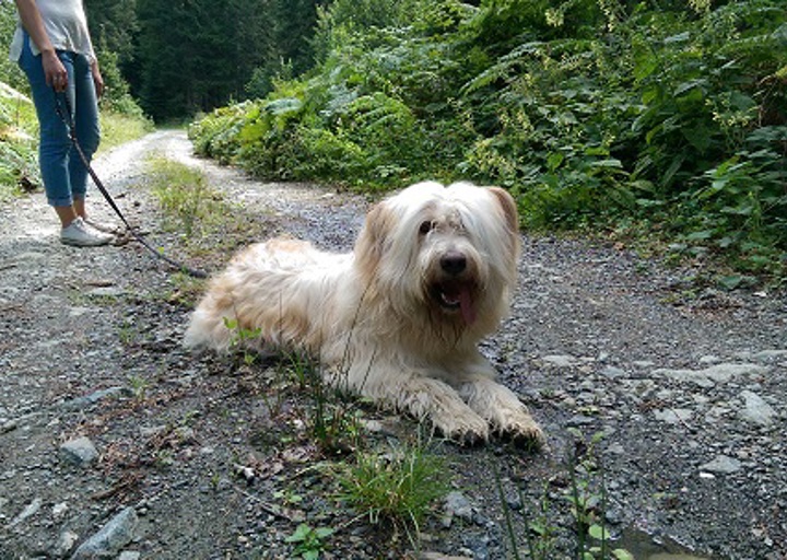 happy_1452192242Terence3.jpg