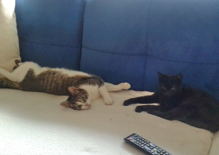 happy_1451506268Foto_4.jpg