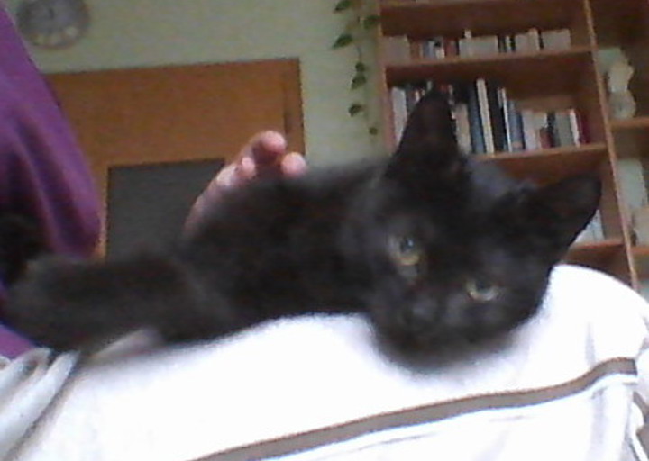 happy_1451506268Foto_5.jpg