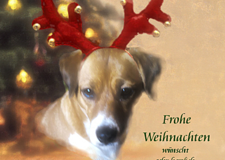 happy_1451155387Kathy_Weihnachtselch.jpg