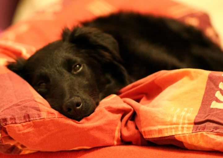 happy_1450214728Foto_4.JPG