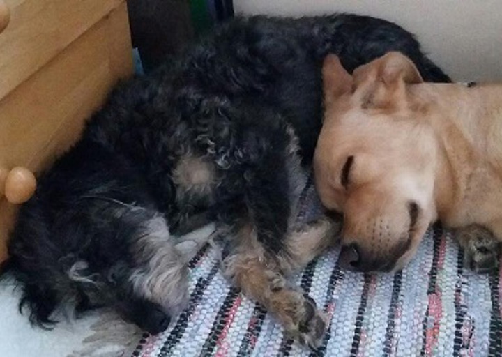 happy_1448660155Twiggy und Cenai.jpg