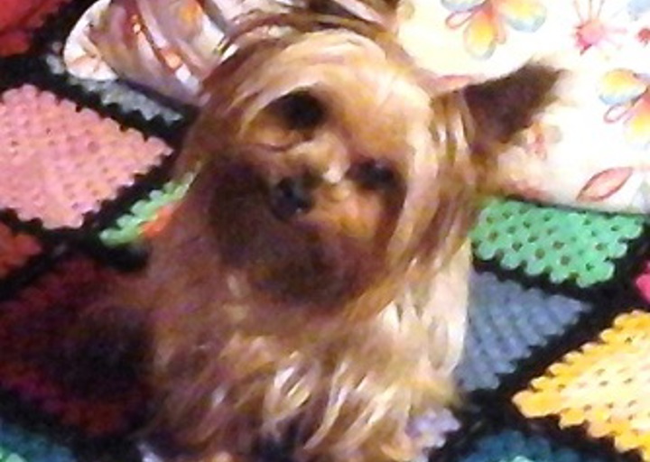 happy_1448409703Otty2.jpg
