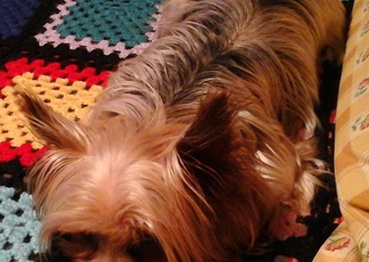 happy_1448409703Otty4.jpg
