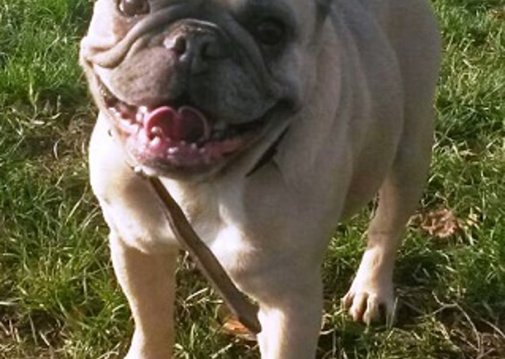 happy_1447877162Peaches2.jpg