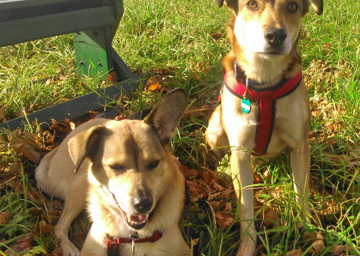 happy_1447366568Foto_1.jpg