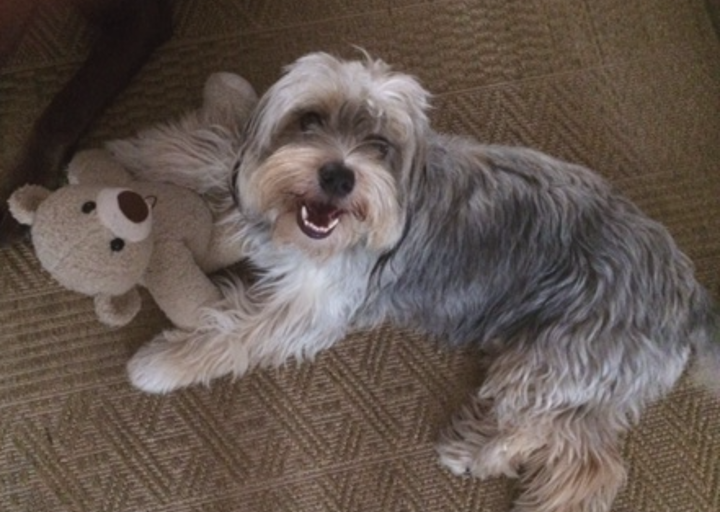 happy_1446895747Foto_3.png