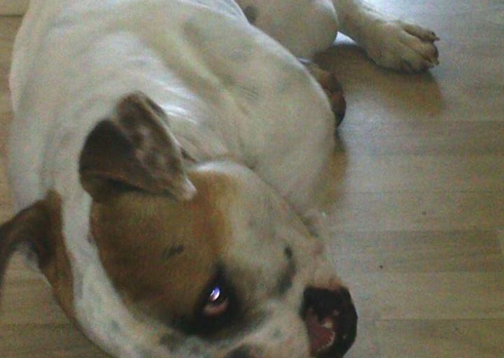 happy_1444577824Foto_2.jpg