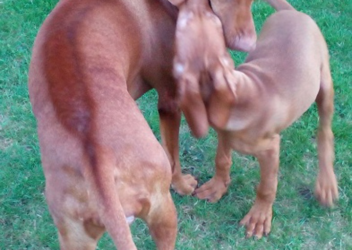 happy_1444078792Larry3.jpg