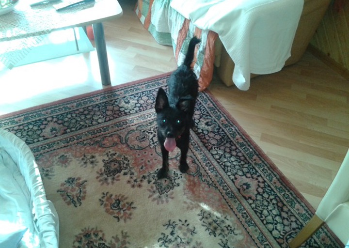 happy_144434125720150829_171633.jpeg