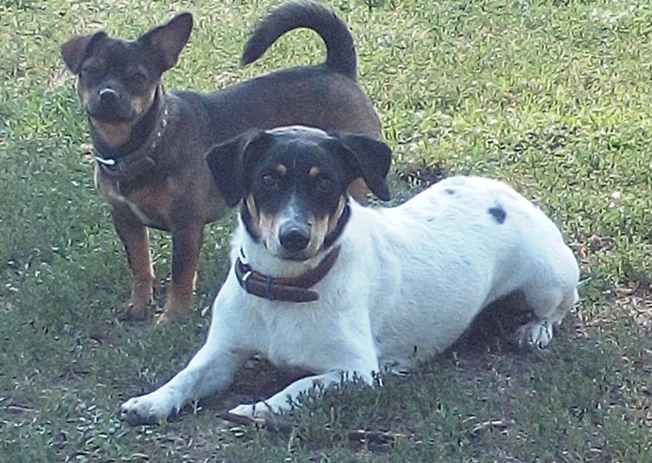 happy_1443467770Foto_1.jpg
