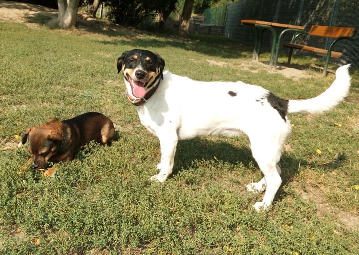 happy_1443467770Foto_4.jpg