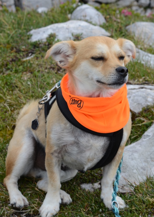 happy_1442352522Foto_5.JPG