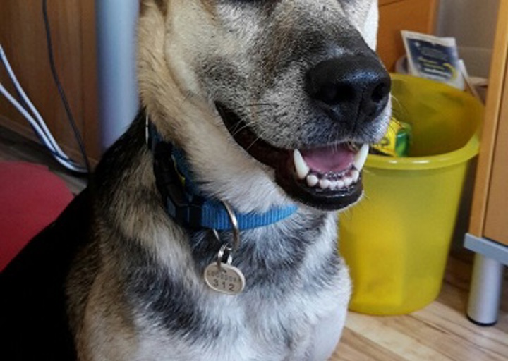 happy_1442353985Elli2.jpg