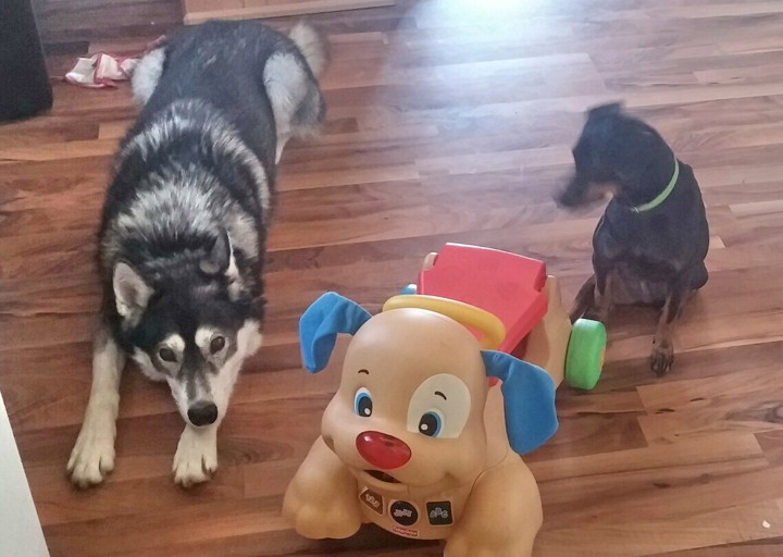 happy_1450614908Foto_2 (2).jpg