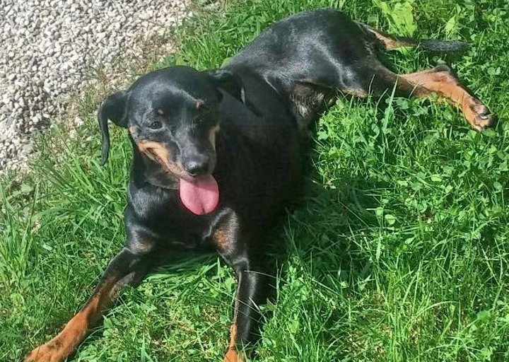 happy_1450614908Foto_5 (1).jpg