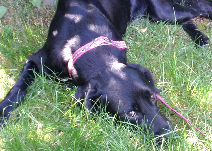 happy_1441828343Foto_3.jpg