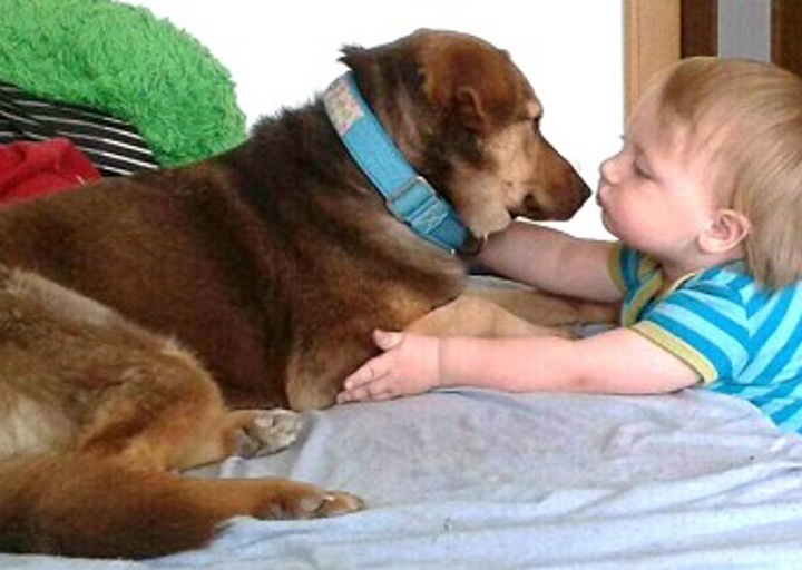 happy_1441827950Biscuit.jpg
