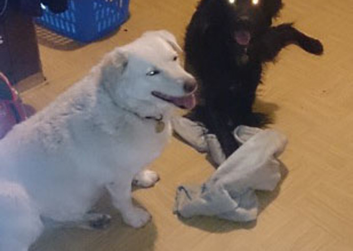 happy_14400978953.jpg
