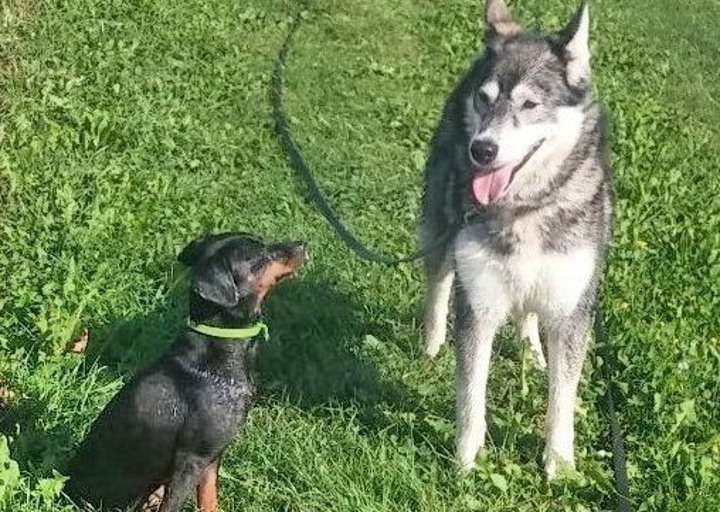 happy_1450614700Foto_4.jpg